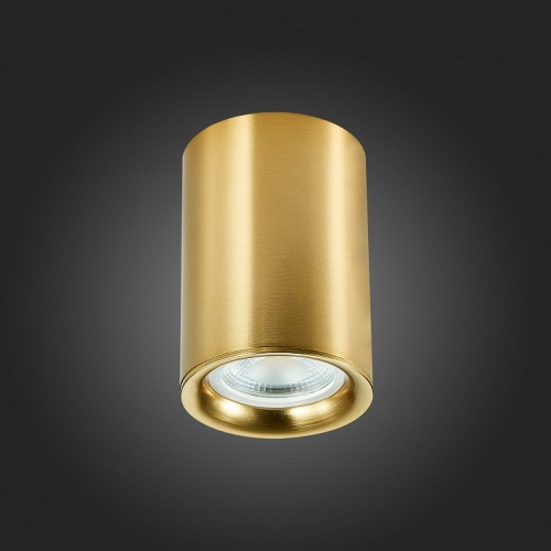 Накладной светильник ST-Luce ST114 ST114.207.01 в Соколе фото 5