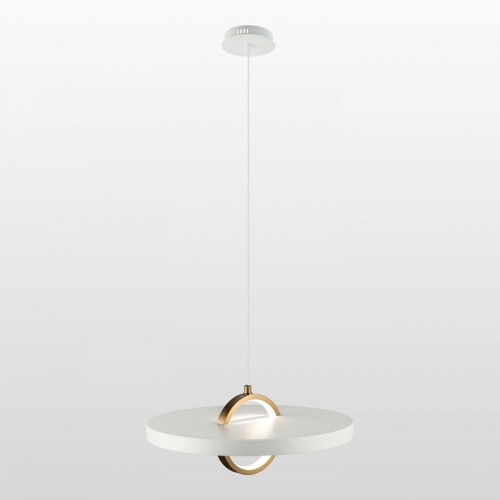 Подвесной светильник Lussole Ketchikan LSP-7199 в Нижнем Новгороде фото 7