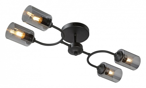 Потолочная люстра Vitaluce V2823 V2823-1/4PL в Нижнем Новгороде