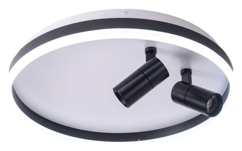 Накладной светильник Zortes Raizy ZRS.1888.01 в Нижнем Новгороде