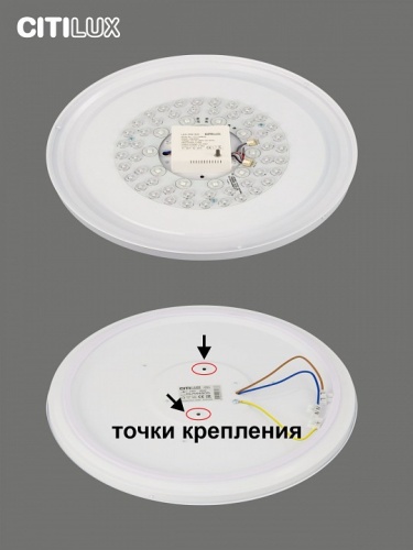 Накладной светильник Citilux Симпла CL714480G в Волгограде фото 10