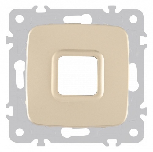 Розетка для вывод кабеля без рамки Arte Milano am-205 205.49-1.shampan в Нижнем Новгороде