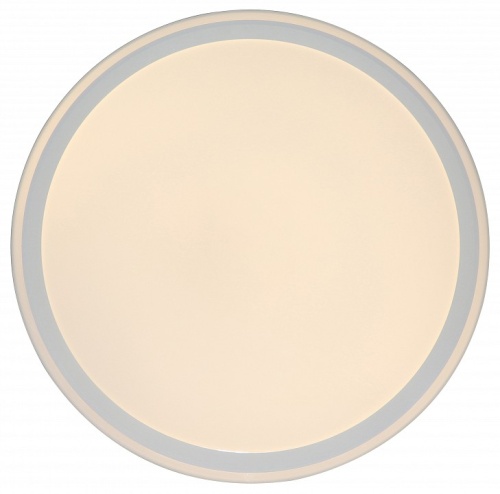 Накладной светильник Zortes Bella ZRS.1200.09 в Нижнем Новгороде фото 7