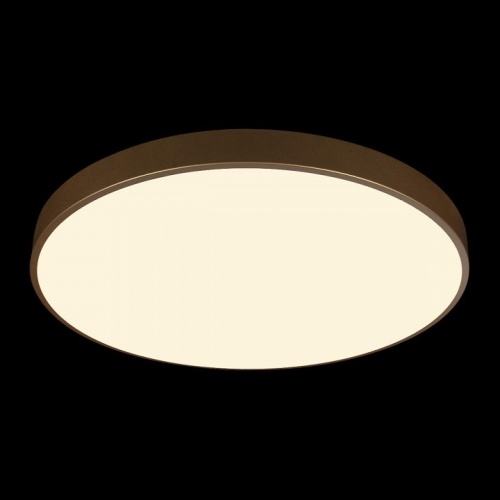 Накладной светильник Loft it Flims 10228/B в Тюмени фото 5