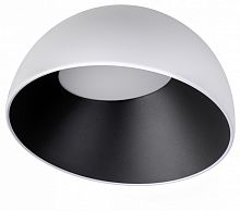 Накладной светильник Loft it Egg 10197/350 WB в Нижнем Новгороде