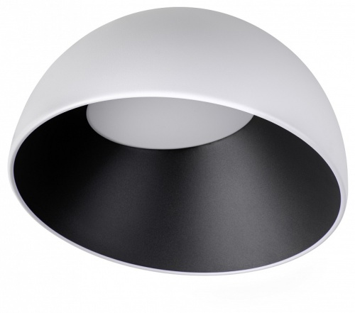 Накладной светильник Loft it Egg 10197/350 WB в Нижнем Новгороде