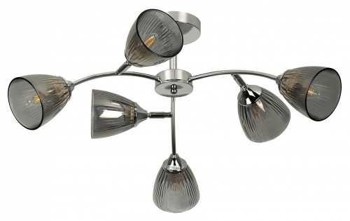 Люстра на штанге Rivoli Francheska Б0068457 в Нижнем Новгороде фото 4