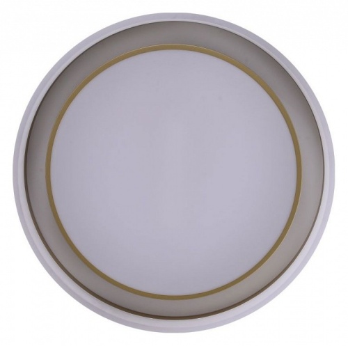 Накладной светильник Zortes Adel ZRS.1200.01 в Нижнем Новгороде фото 3