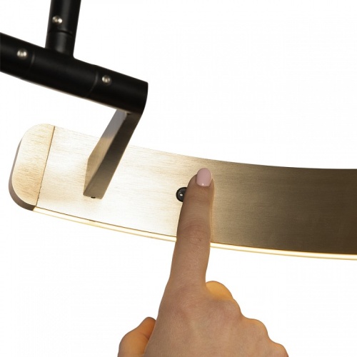 Торшер Loft it Ring 10027 в Нижнем Новгороде фото 2