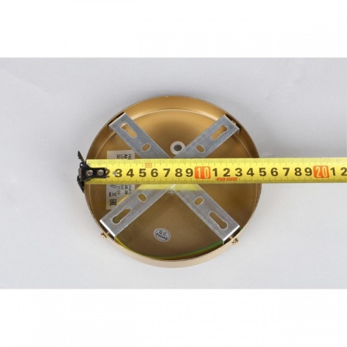 Подвесной светильник Aployt Aleksandra APL.857.06.60 в Нижнем Новгороде фото 10