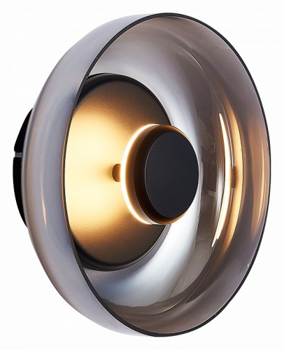 Накладной светильник ST-Luce Lazio SL6002.401.01 в Нижнем Новгороде фото 5