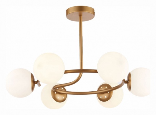 Люстра на штанге EVOLUCE Calabria SLE220602-06 в Нижнем Новгороде фото 3