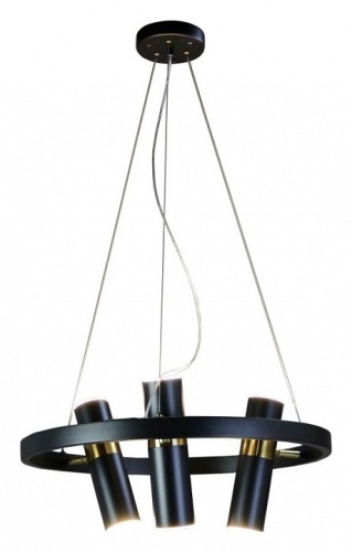 Подвесная люстра Zortes Tweeny ZRS.1828.50 в Нижнем Новгороде фото 10