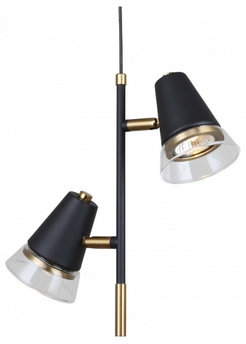 Подвесной светильник F-promo Trandy 4618-2P в Нижнем Новгороде