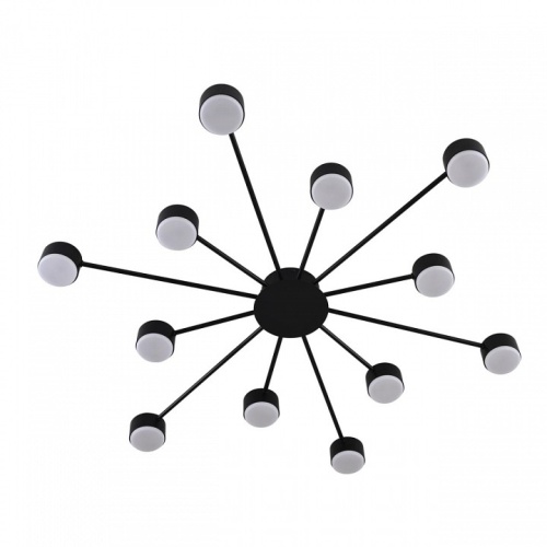 Потолочная люстра Lumion TORINA 8344/12C в Нижнем Новгороде фото 4