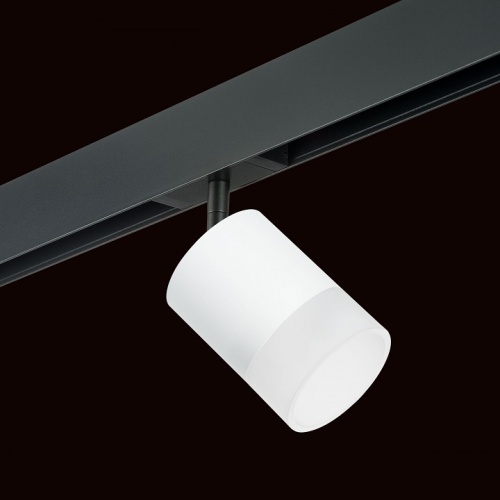 Светильник на штанге Lightstar Rullo PRO348681 в Нижнем Новгороде фото 4