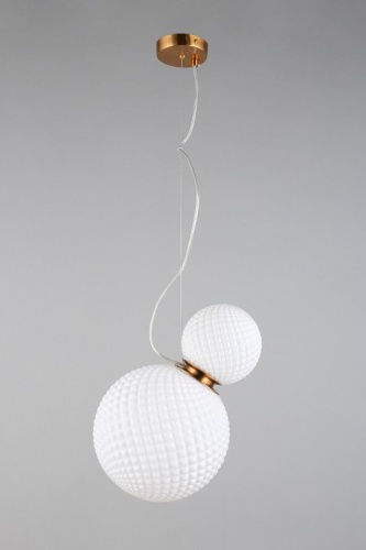 Подвесной светильник Aployt Patunia APL.301.06.02 в Нижнем Новгороде фото 2