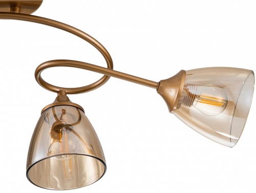 Потолочная люстра Escada Celosia 1112/4P в Нижнем Новгороде фото 2