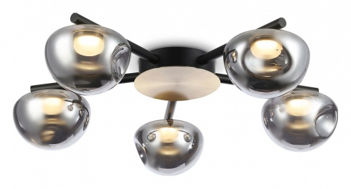 Потолочная люстра Ambrella Light LH LH12009 в Нижнем Новгороде