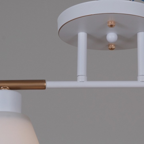 Светильник на штанге 07594-0.3-02 WG в Нижнем Новгороде фото 2