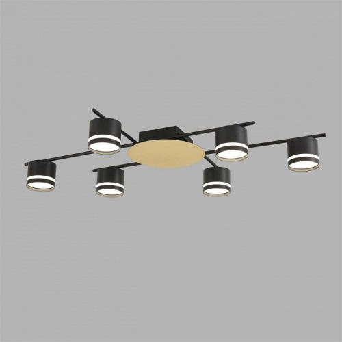 Потолочная люстра Lumion BENUA 8304/6C в Нижнем Новгороде фото 2