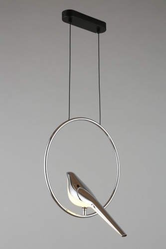 Подвесной светильник Aployt Astor APL.822.16.10 в Нижнем Новгороде фото 11