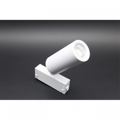 Светильник на штанге Aployt Magnetic track 220 APL.0209.11.01 в Нижнем Новгороде фото 3