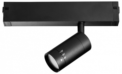 Светильник на штанге Lightstar Teta 205017R в Нижнем Новгороде фото 6