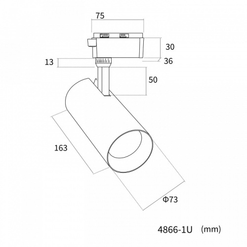 Светильник на штанге Favourite Practica 4866-1U в Нижнем Новгороде фото 2
