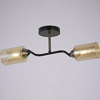 Светильник на штанге ILLUMICO Bice IL8148-2COU-79 BK BR Bice в Нижнем Новгороде