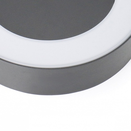 Накладной светильник Favourite Washer 2865-1W в Нижнем Новгороде фото 2