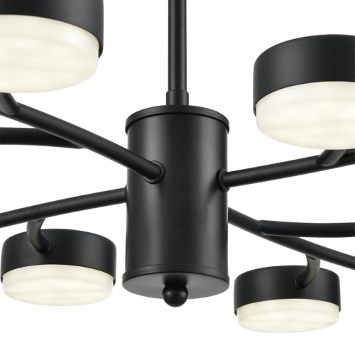 Люстра на штанге Lumion Torina 8117/12 в Нижнем Новгороде фото 4