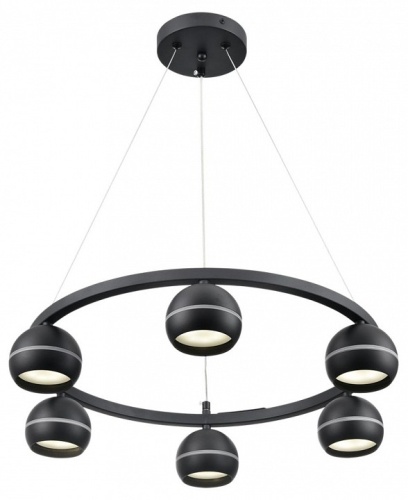 Подвесная люстра Lumion Luazana 8242/6 в Нижнем Новгороде фото 8