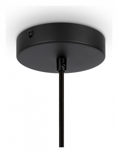 Подвесной светильник Maytoni Roots MOD191PL-01W в Нижнем Новгороде фото 2