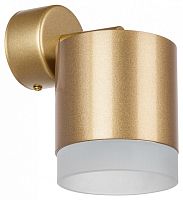 Спот Lightstar Rullo RBX349080 в Нижнем Новгороде