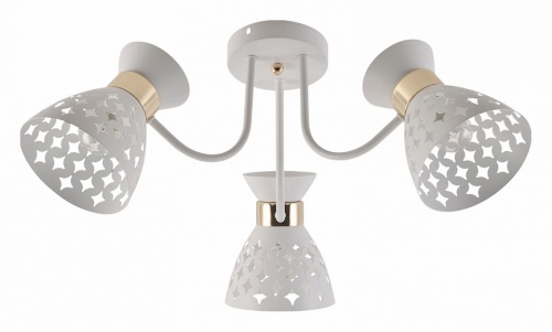 Потолочная люстра 01579-3.3-03 WH+FGD в Нижнем Новгороде