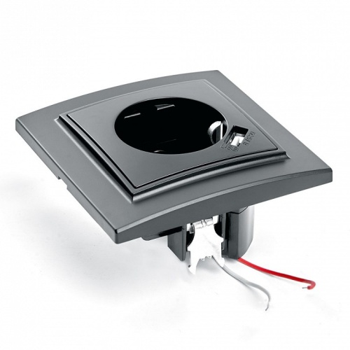 Розетка с заземлением и со шторкой и USB Stekker Эрна 39480 в Нижнем Новгороде фото 4