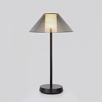 Настольная лампа декоративная Elektrostandard Mistery a062381 в Нижнем Новгороде