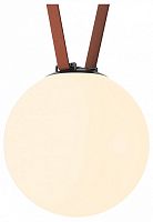 Накладной светильник Denkirs Belty Orb DK5555-BK в Нижнем Новгороде