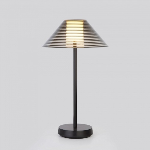 Настольная лампа декоративная Elektrostandard Mistery a062381 в Нижнем Новгороде