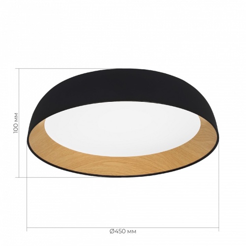 Накладной светильник EVOLUCE MUSE SLE1812-402-01 в Нижнем Новгороде фото 4