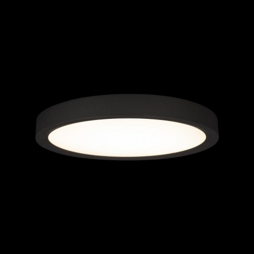 Накладной светильник Loft it Extraslim 10227/24 Black в Соколе фото 2