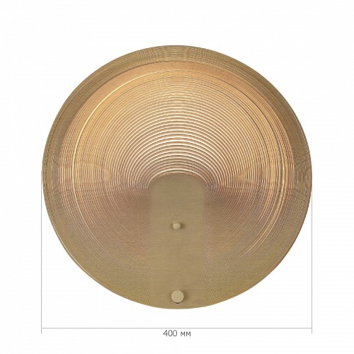 Накладной светильник ST-Luce Fossil SL6900.501.16 в Нижнем Новгороде фото 4