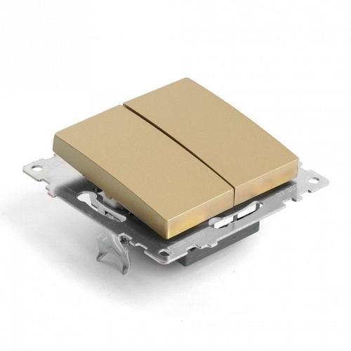 Переключатель двухклавишный без рамки Stekker Катрин 49220 в Нижнем Новгороде фото 2