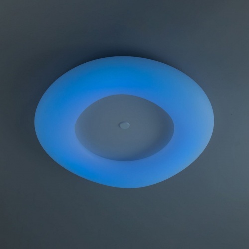 Накладной светильник Citilux Стратус Смарт CL732A800G в Сельцо фото 9