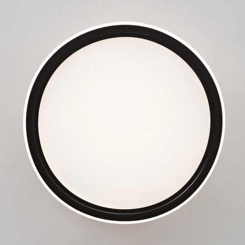 Накладной светильник Zortes Galo ZRS.10112.01 в Нижнем Новгороде фото 6