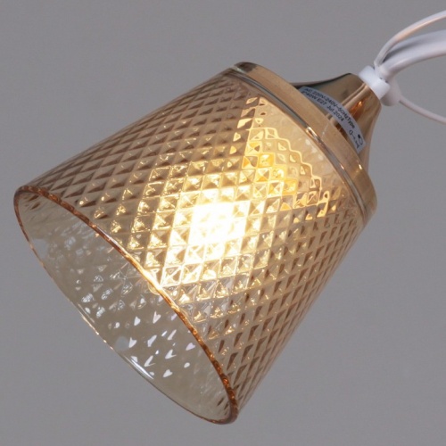 Светильник на штанге 06003-0.3-02 FG+WT в Нижнем Новгороде фото 3