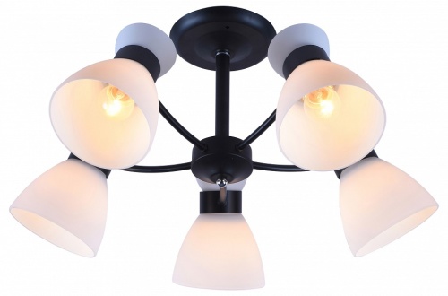 Люстра на штанге Rivoli Aemilia 9185-305 в Нижнем Новгороде