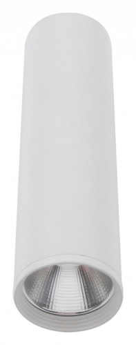 Накладной светильник Kink Light Фабио 08570-20,01 в Нижнем Новгороде