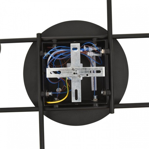 Потолочная люстра Lumion BENUA 8304/6C в Нижнем Новгороде фото 6